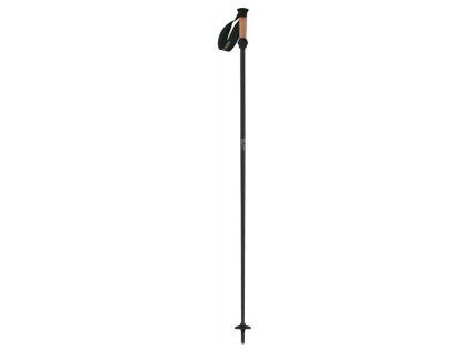 Salomon hole SC 1 2012