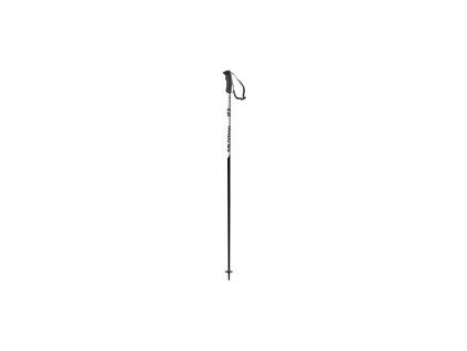 hole Salomon X Pro White/black