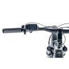 Leader Fox Axen 29 Titan, Panasonic GX Ultimate 95Nm, 720Wh