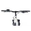 Leader Fox Brasa 26 Fatbike White, Panasonic GX Ultimate 95Nm, 720Wh