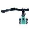 Leader Fox Arimo Dámské 29" Green light, 720Wh